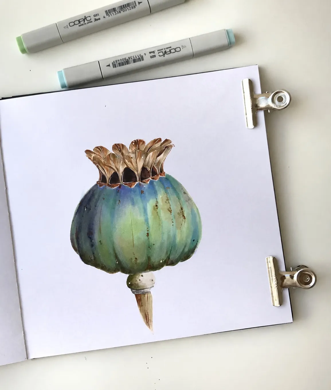 Poppy seed head