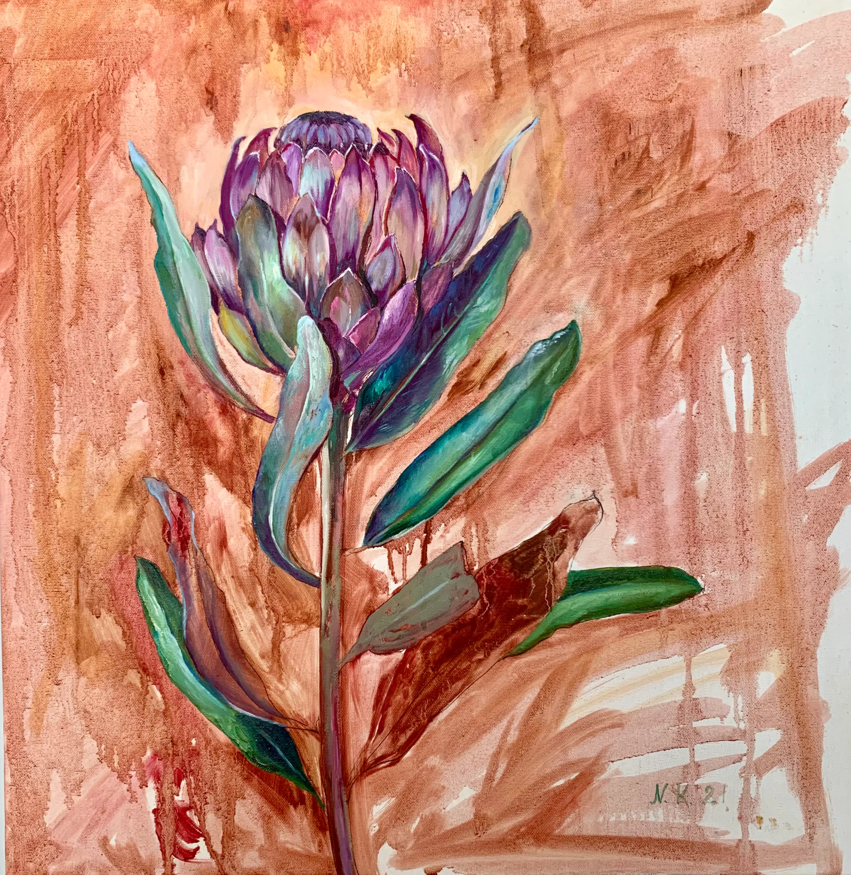 Protea